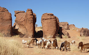 Felstürme im Ennedi , Tschad